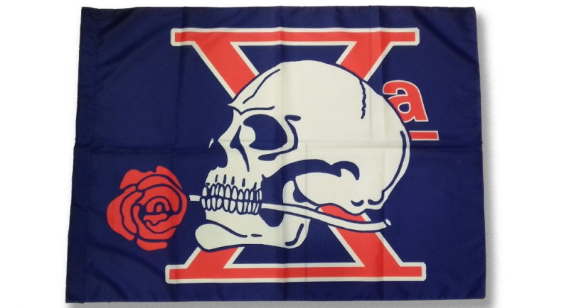 BANDIERA TESCHIO ROSA DECIMA MAS Flags and Canvas