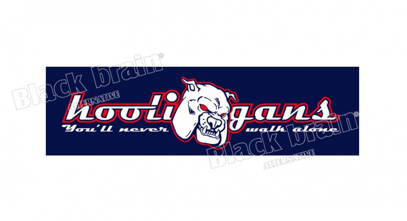 STICKER HOOLIGANS Pins & Stickers