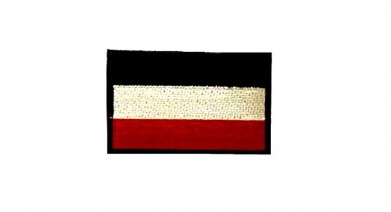 PATCHE TRUE EUROPE FLAG Patches